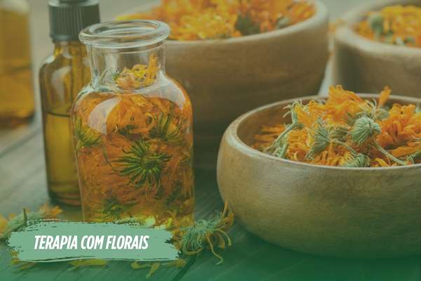 Florais e Pics no Programa de Acompanhamento terapêutico Medpics