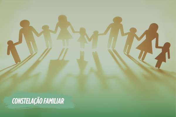 Constelação familiar e Pics no Programa de Acompanhamento terapêutico Medpics